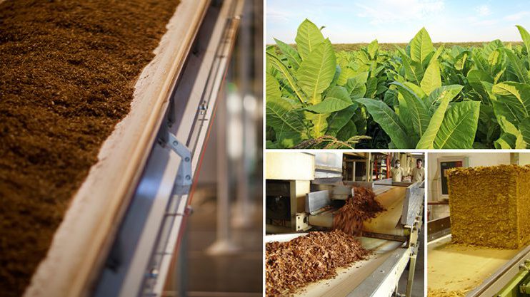 Agro-Tobacco-Belts