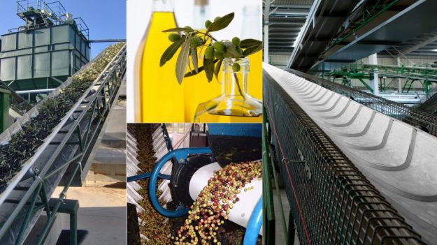 Agro Conveyor Belt - Olive Oil