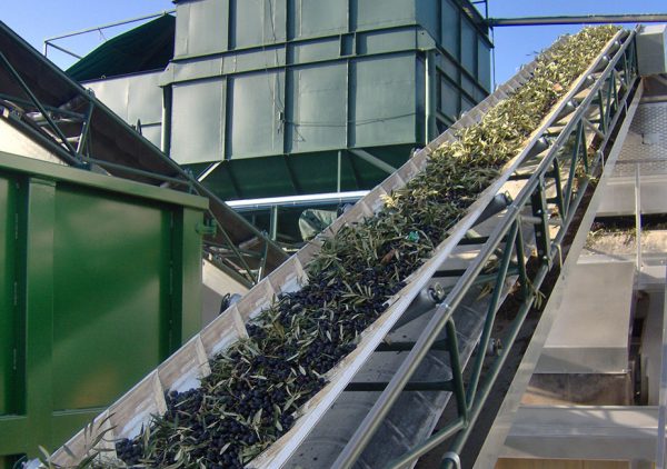 Conveyor Belt Aster 26X1C for olives