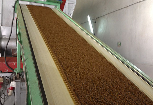 Conveyor-Belt-Polyester-Tobacco