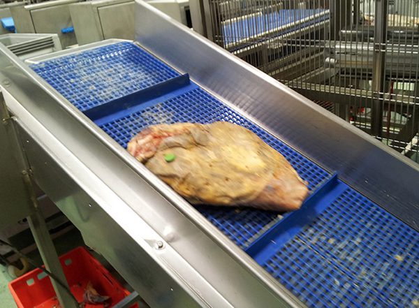 Conveyor Mesh Belt PU Washflow