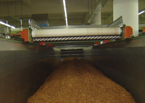 Conveyor-Belt-Polyolefin-Tobacco