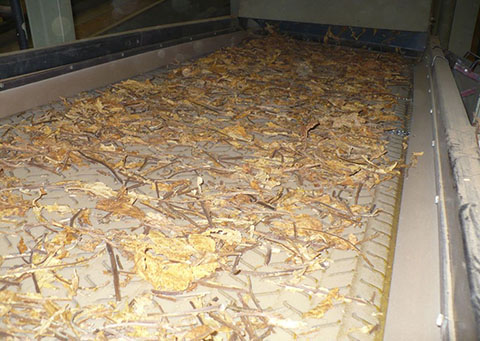 Conveyor-Belt-Polyolefin-Tobacco