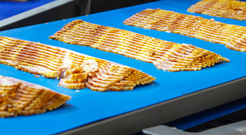 Bacon primer plano 2 Bacon