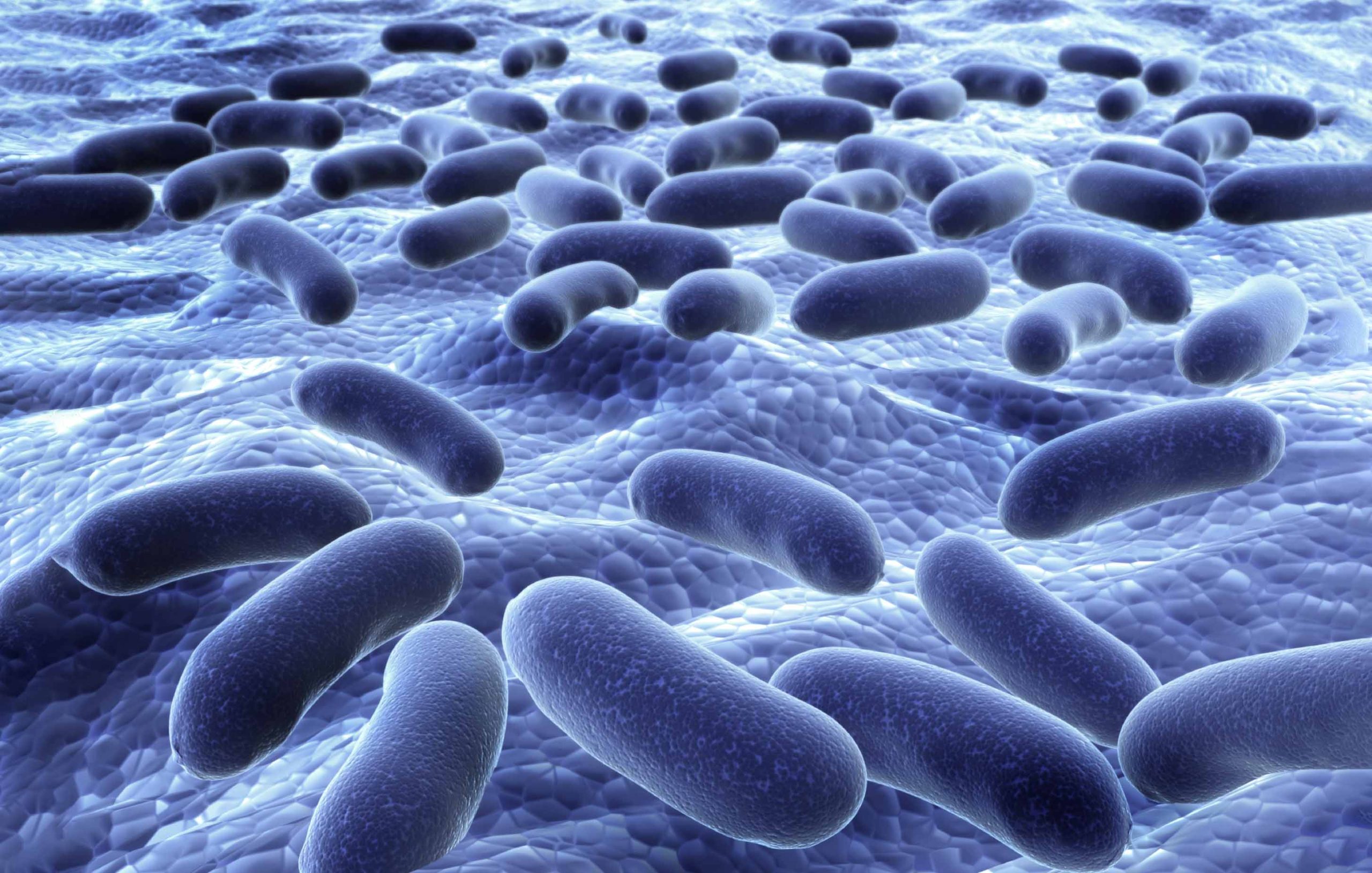 Красивые микроорганизмы. Микроорганизмы обитающие в воде. Микроорганизмы у мужчин что это. Возбудители псевдомонады. Микроорганизмы у мужчин что это.