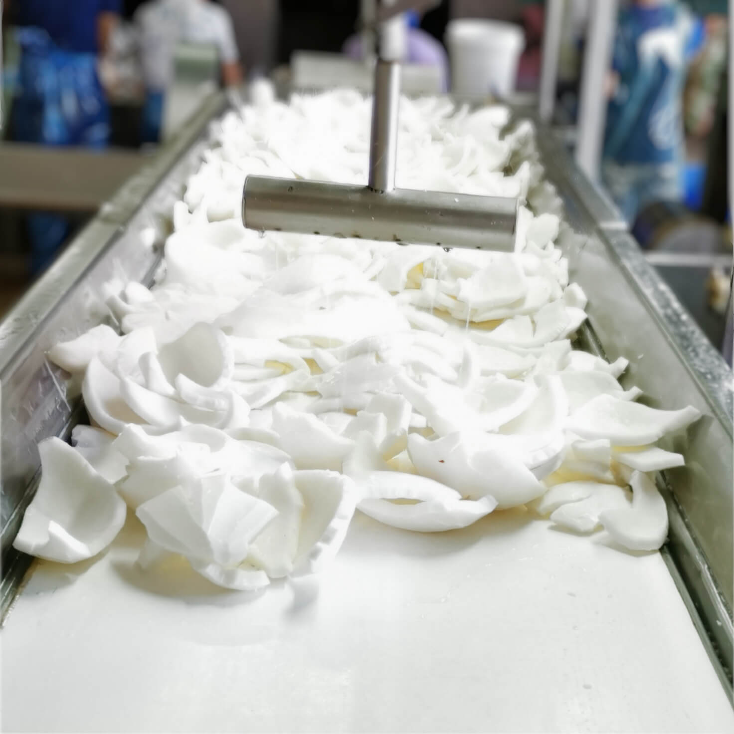 Banda esbelt serie Espot transportar para frutas