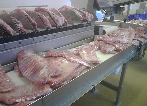 Banda esbelt® serie Clina para carne