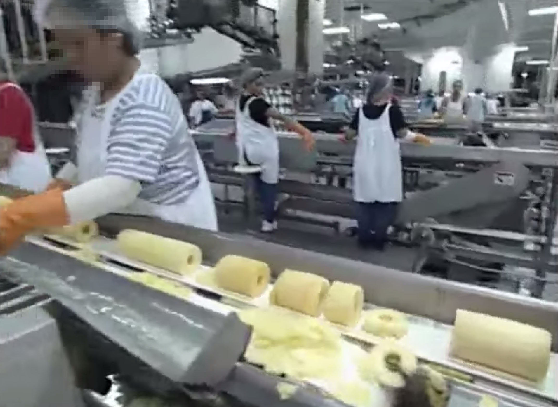 Banda esbelt serie Espot frutas