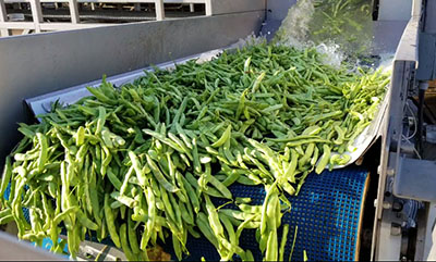Washflow pour le nettoyage des légumes